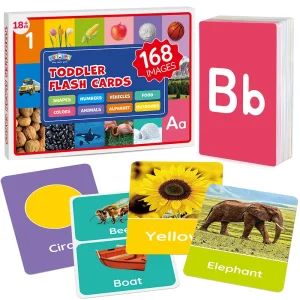 84 Double-Sided Educational Flashcards